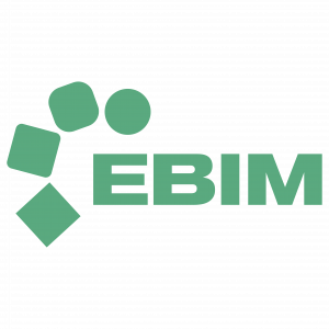 EBIM - IMPULSAMOS TU EVOLUCIÓN DIGITAL