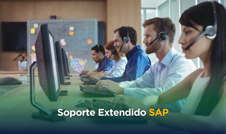 Soporte Extendido SAP (Basis, Funcional y Técnico)