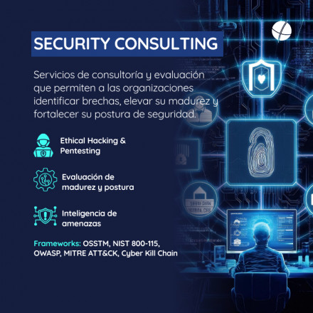 Security Consulting